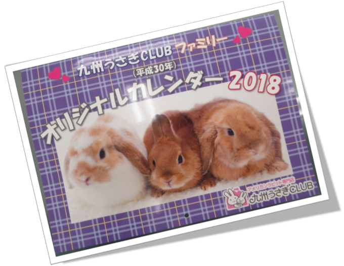 九州うさぎclub ファミリー オリジナル カレンダー18 北九州ラビット